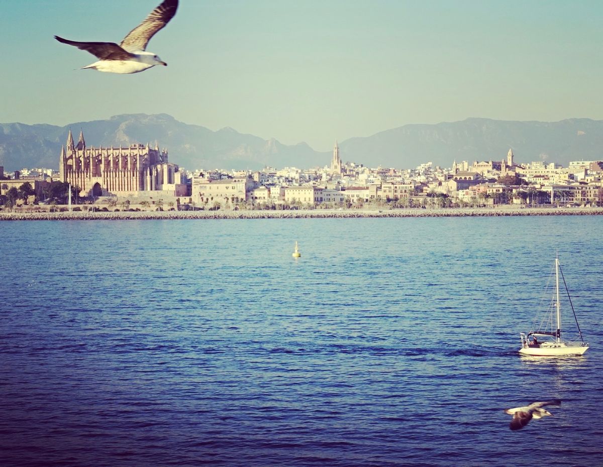 動画はマヨルカ島に到着する早朝です。海からの景色が素敵なのもクルーズ旅の魅...