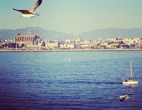 スペイン・マヨルカ島「My first Cruise trip-5」の写真：動画はマヨルカ島に到着する早朝です。海か...