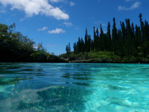 ニューカレドニア・イルデパン島「ニューカレドニア旅行」の写真