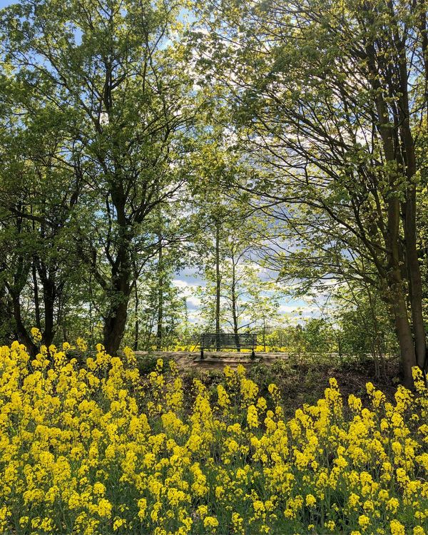 ドイツ・ハンブルク「ハンブルク4ヶ月間の滞在」の写真