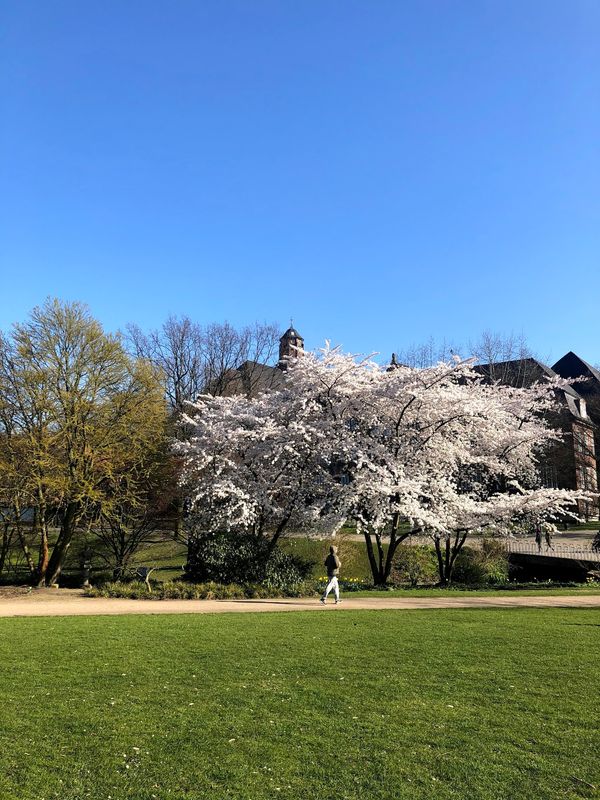 ドイツ・ハンブルク「ハンブルク4ヶ月間の滞在」の写真