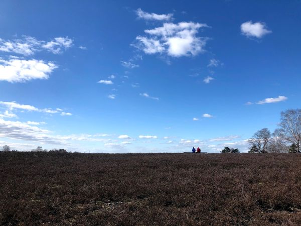 ドイツ・ハンブルク「ハンブルク4ヶ月間の滞在」の写真