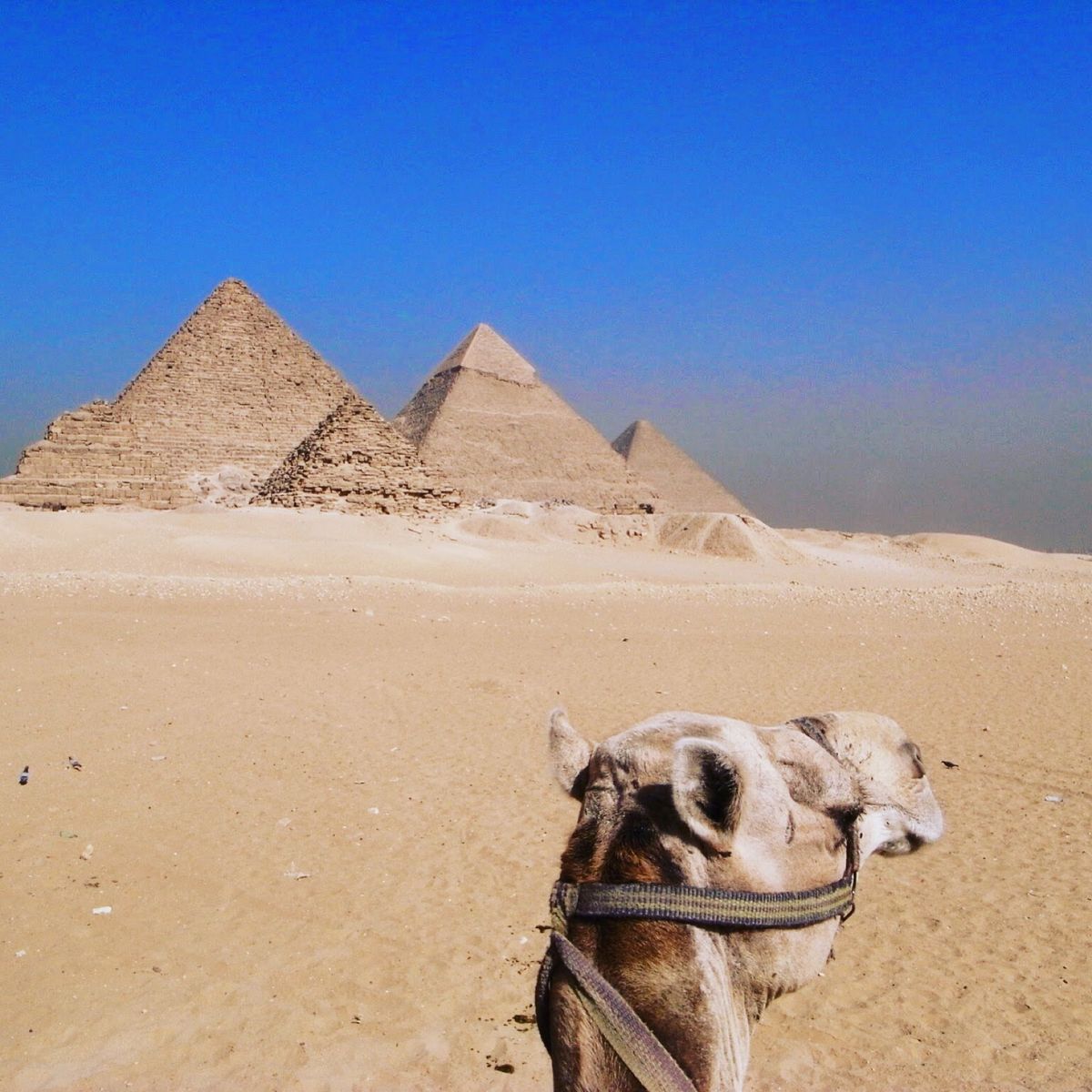 １〜４）世界遺産ピラミッド