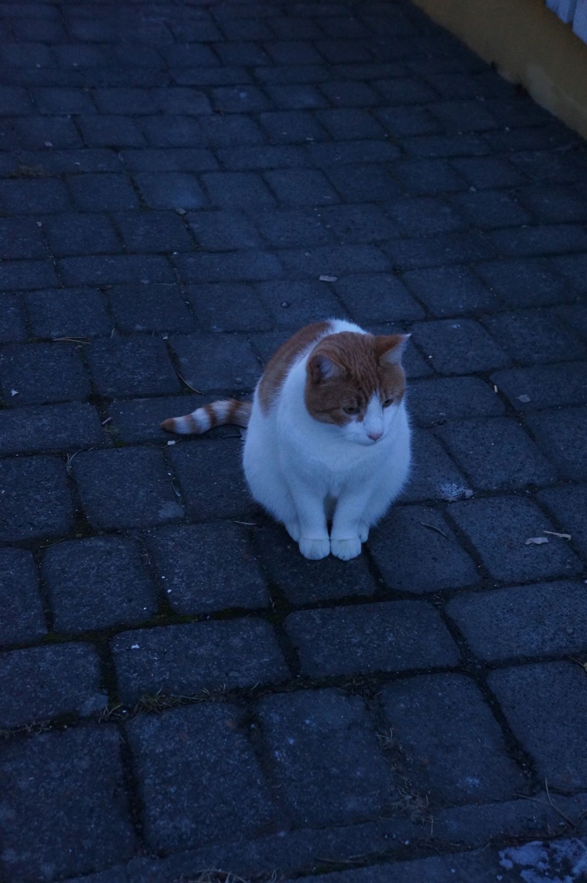 １〜４）レイキャビクの街並み