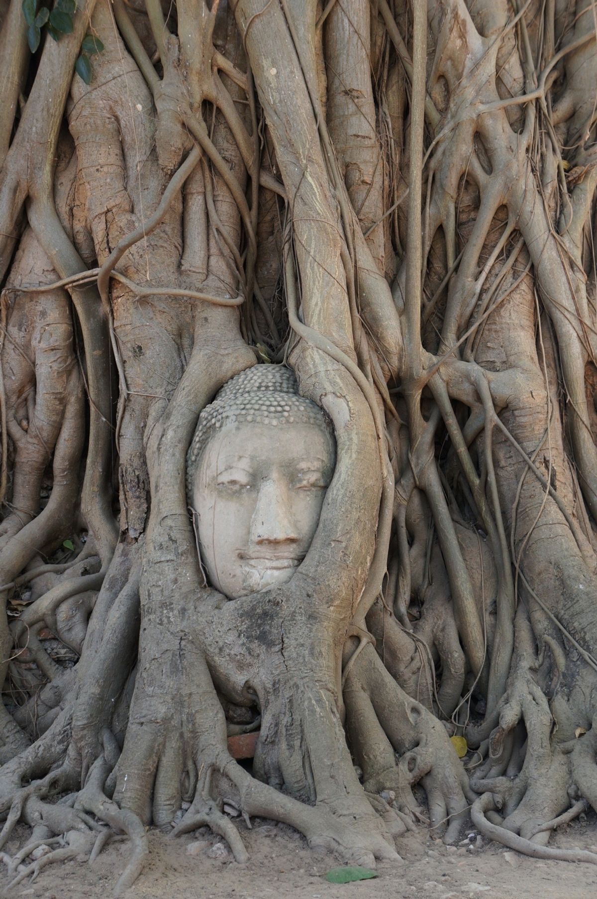 １〜４）世界遺産アユタヤ