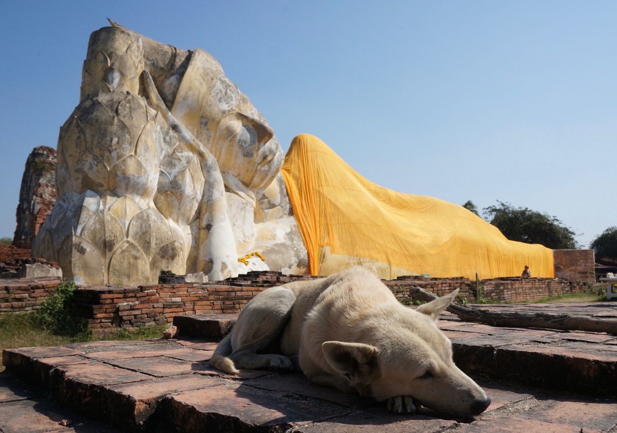 １〜４）世界遺産アユタヤ