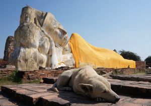 １〜４）世界遺産アユタヤ