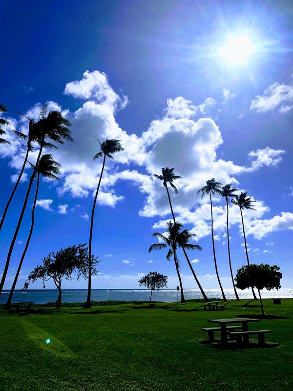 アメリカ(米国)・オアフ島「ハワイ」の写真
