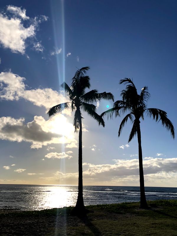 アメリカ(米国)・オアフ島「ハワイ」の写真