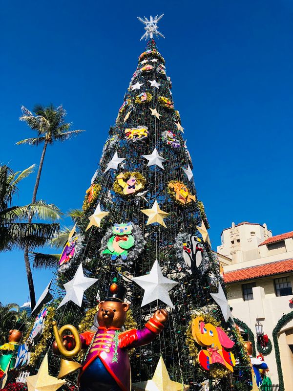 アメリカ(米国)・オアフ島「ハワイ」の写真