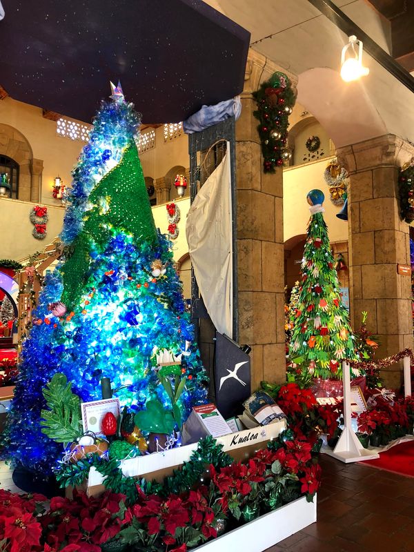 アメリカ(米国)・オアフ島「ハワイ」の写真