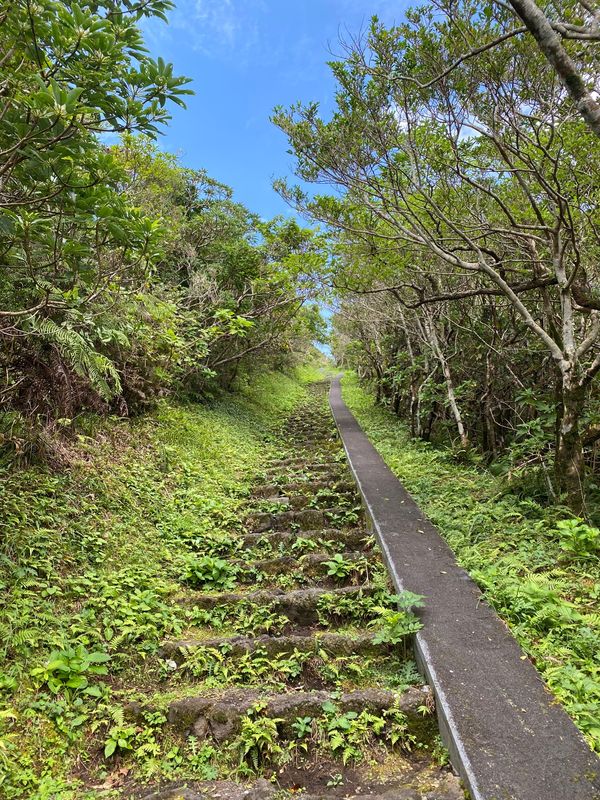 日本・東京都「八丈島 2020年夏最後の天の川」の写真：八丈富士に登っていますが、けっこうキツイです笑