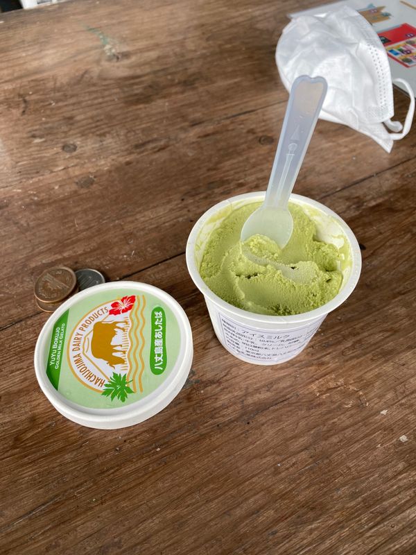 日本・東京都「八丈島 2020年夏最後の天の川」の写真：八丈富士下山して死にそうなくらい汗だくで...