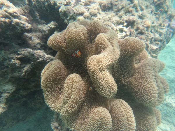 日本・沖縄県宮古島市「宮古島」の写真