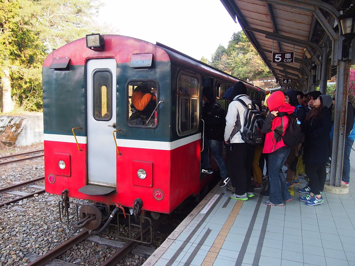 阿里山は登山電車で行くのが定番。