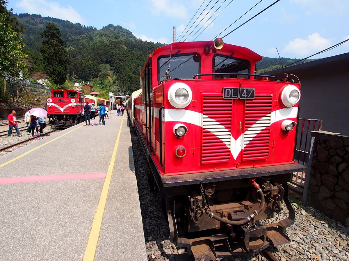 阿里山鉄道の途中駅は駅弁がとっても有名で、阿里山を訪れた人は、鉄道できた人...