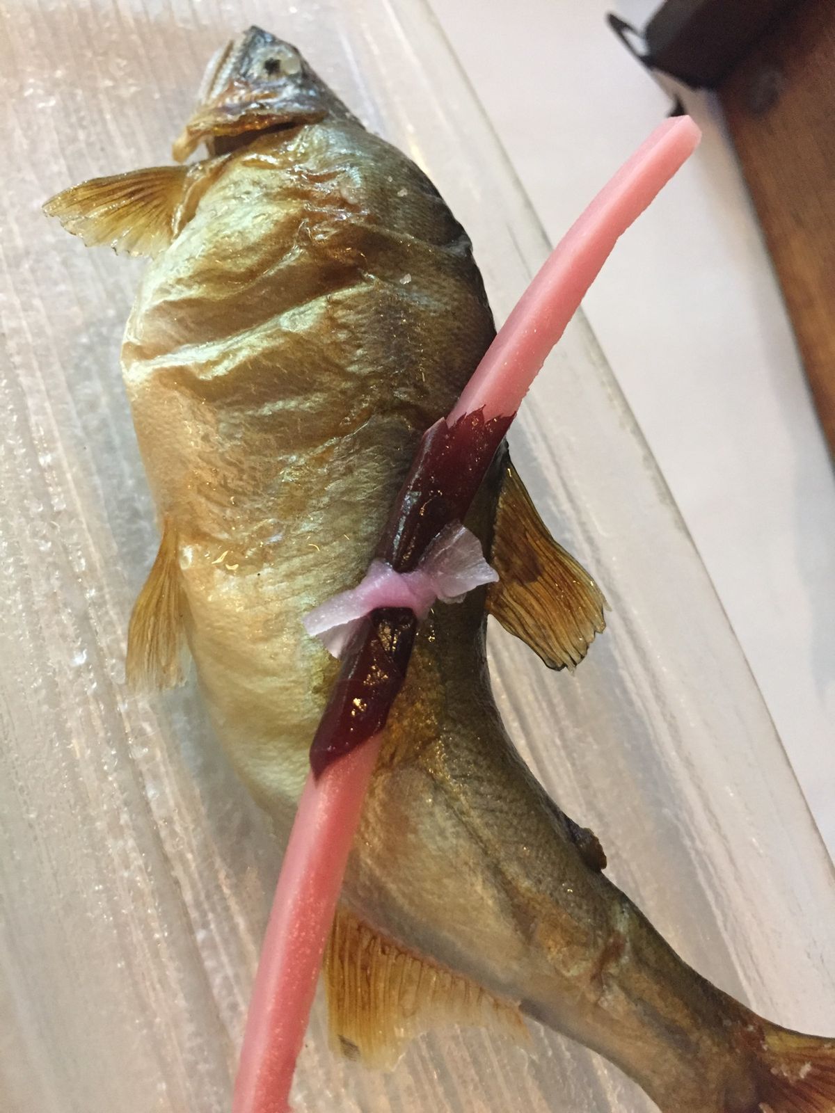 川床　信じられない程涼しい