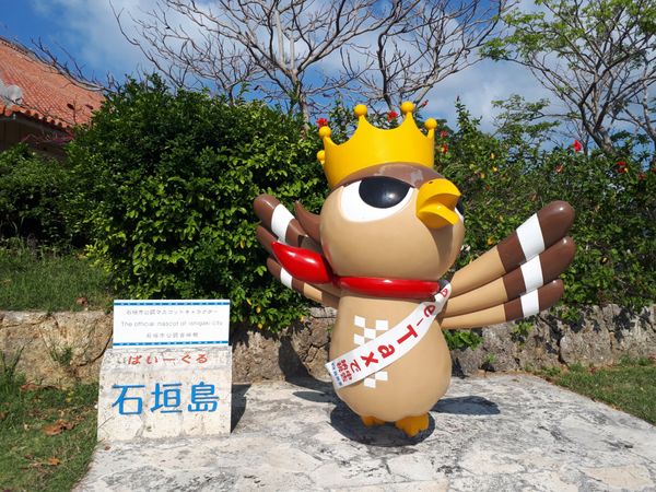 日本・竹富島「石垣島（牛まつり）」の写真：波照間島