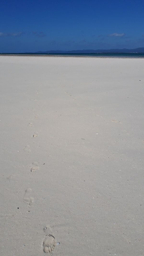 日本・竹富島「石垣島」の写真：竹富島
