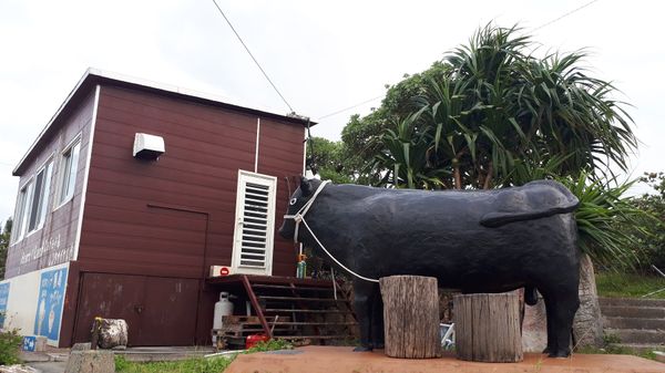 日本・竹富島「石垣島」の写真：黒島