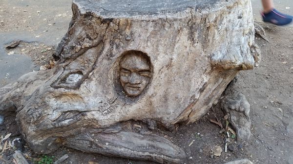 イタリア・Lecce「イタリア」の写真