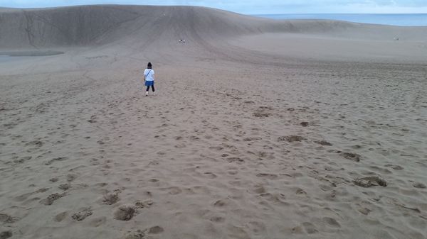 日本・鳥取砂丘「鳥取」の写真