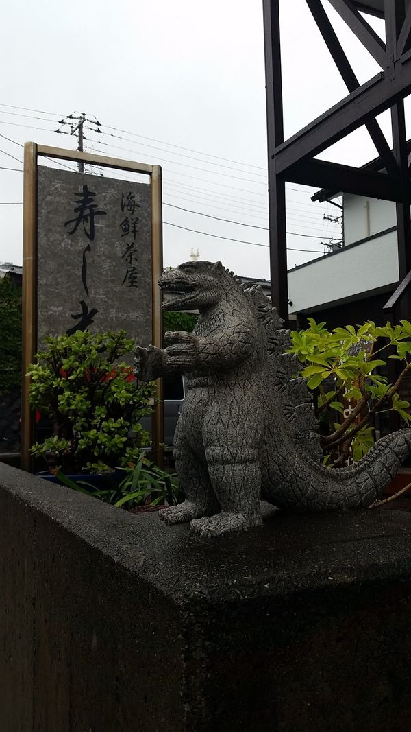 日本・東京都「大島」の写真：思い出に残る天気の悪さだった！