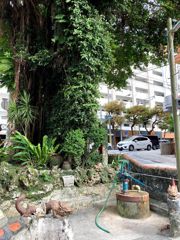 日本・沖縄県「沖縄」の写真：陶器とお菓子を買って帰ってきた旅