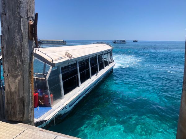 オーストラリア連邦・ケアンズ「ケアンズ」の写真