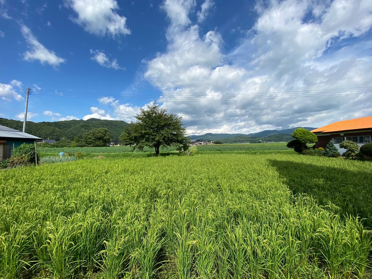 図書館の上の博物館で、遠野のことを学んでから観光するのがおすすめ。民話、昔...