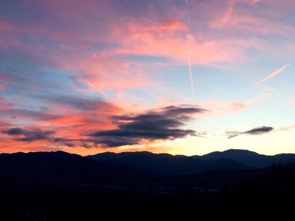 日本・長野「長野の旅　阿智村の星」の写真
