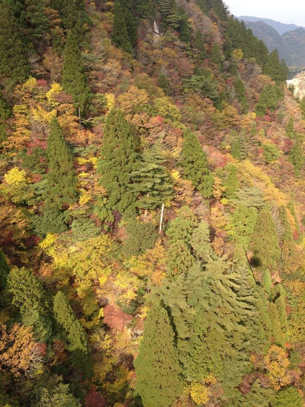 日本・御在所岳「三重県　四日市から湯の山温泉　御在所岳」の写真