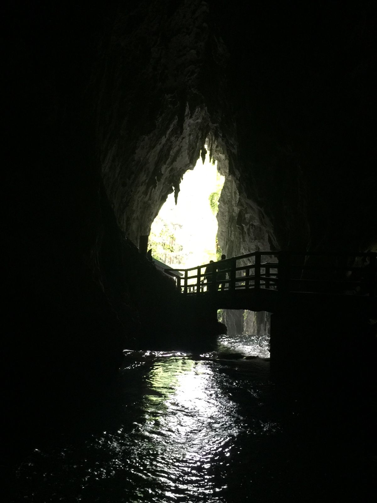 １〜４）特別天然記念物秋芳洞