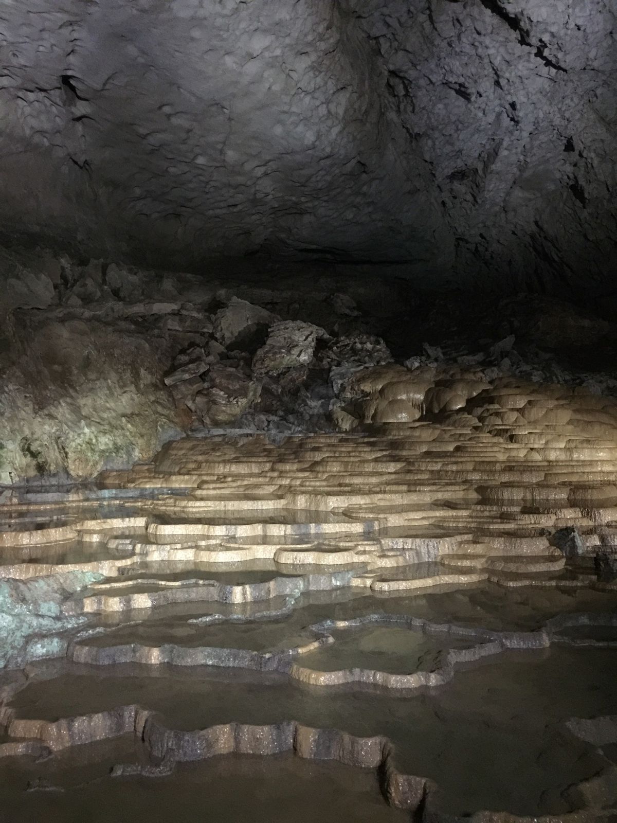 １〜４）特別天然記念物秋芳洞