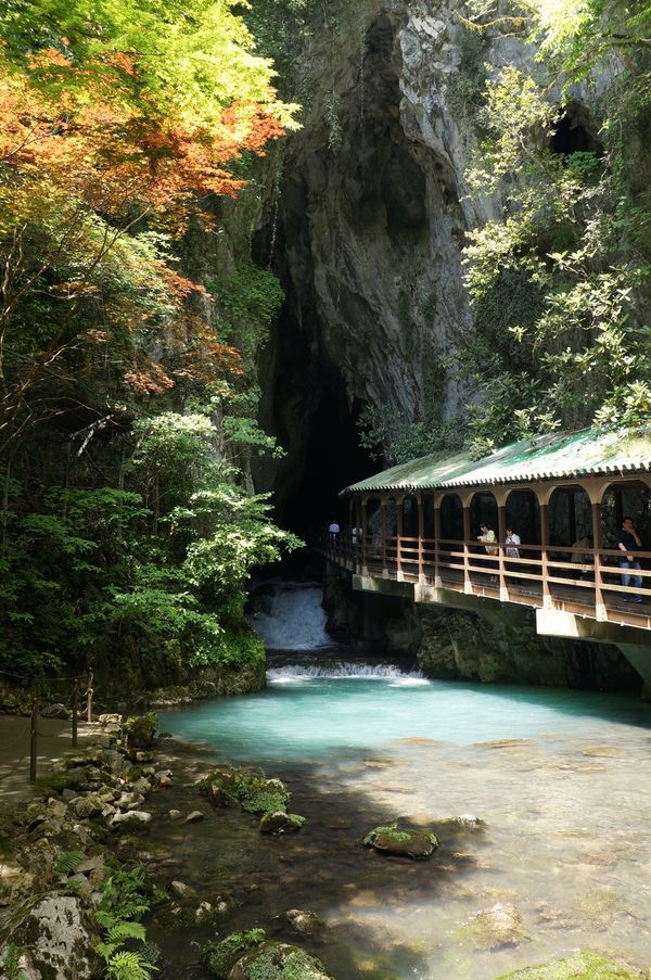日本・山口県「「萩の旅」」の写真：１〜４）特別天然記念物秋芳洞