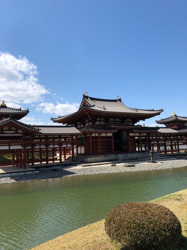 日本・京都「京都旅行」の写真：平等院鳳凰堂は何度も行くくらい好きな場所...