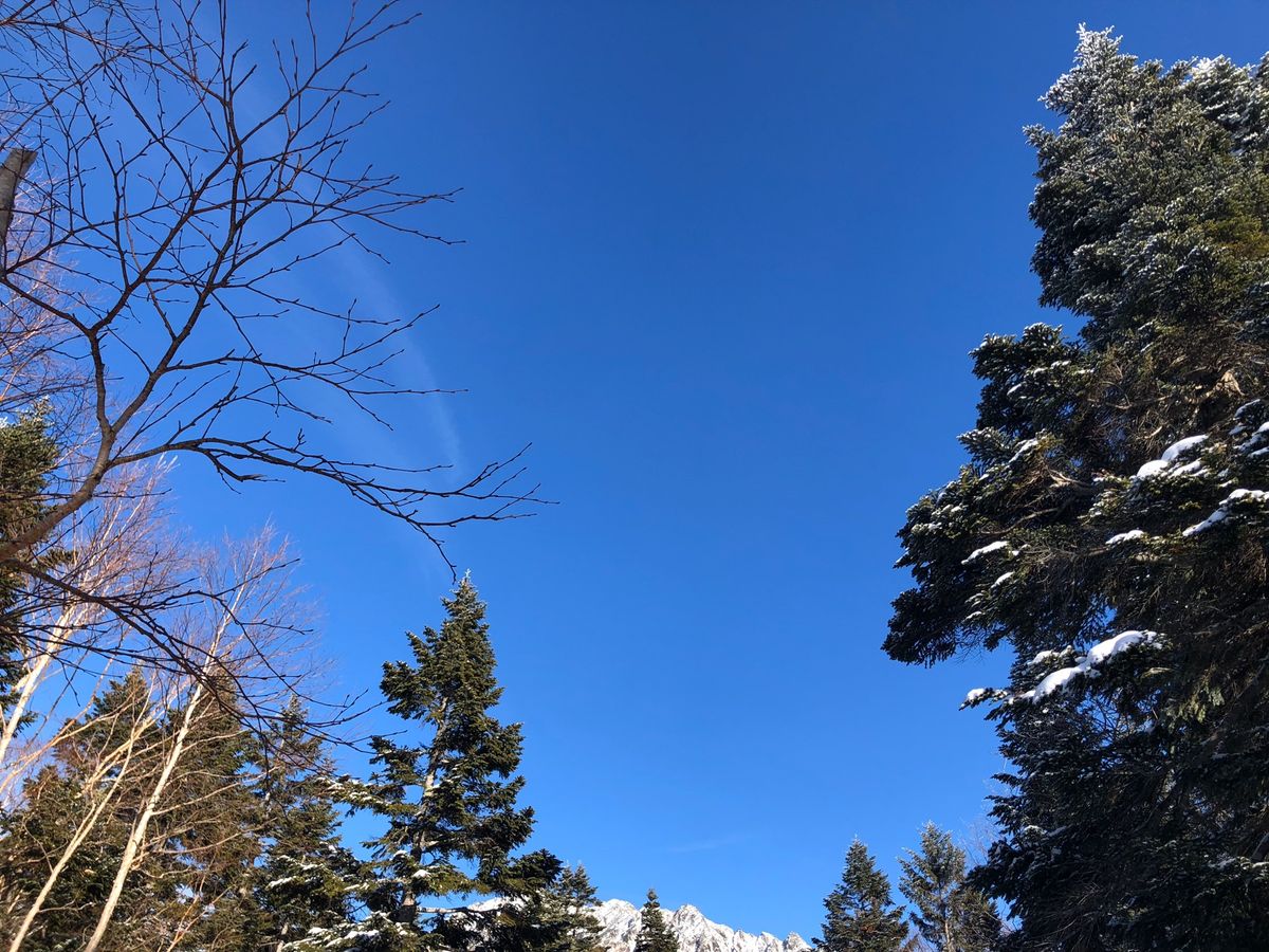 飛騨高山　新穂高