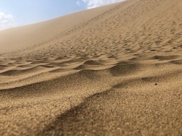 日本・天橋立「神戸~京都~鳥取」の写真