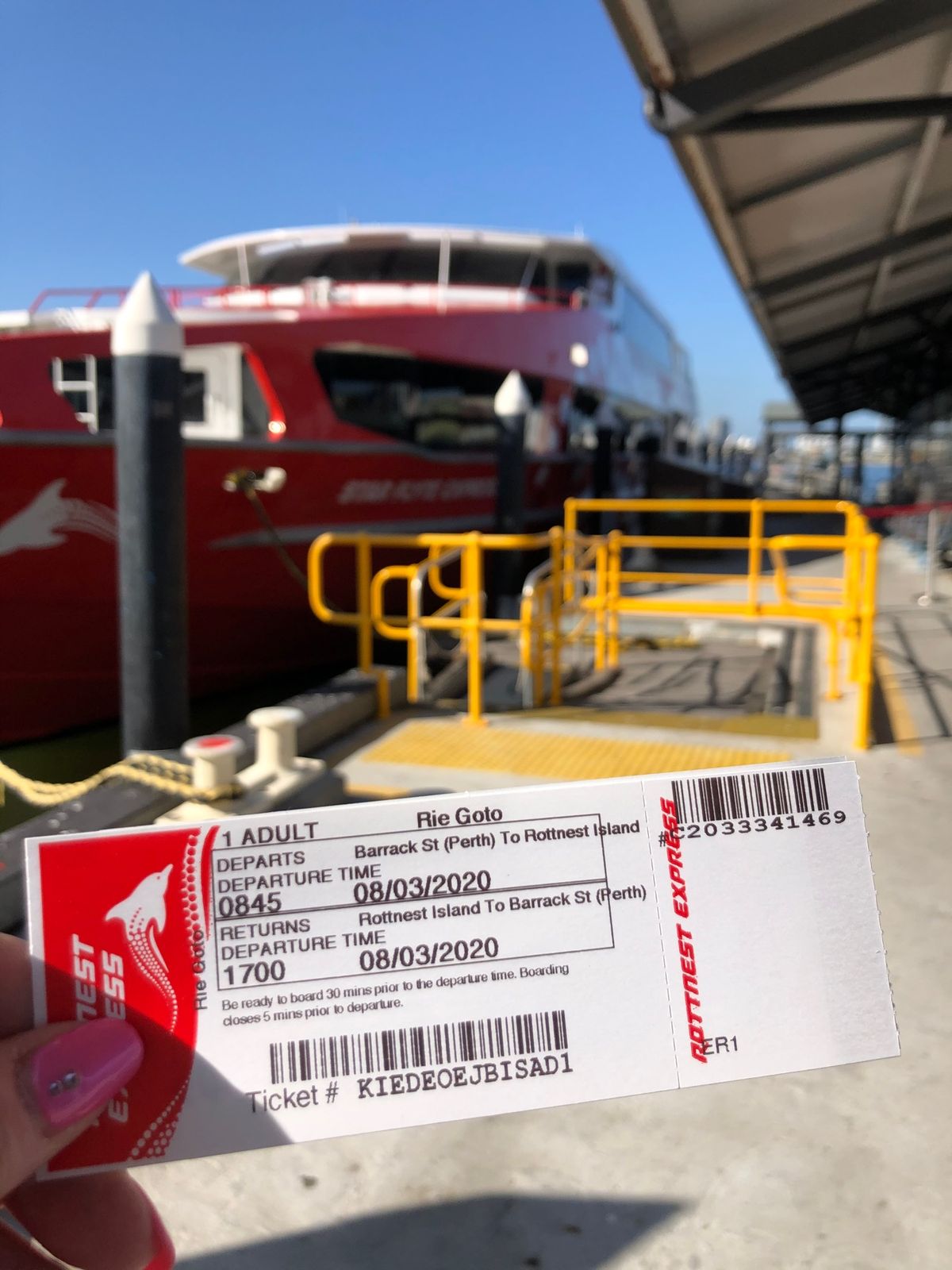 ロットネスト島。
のんびりサイクリング、野生のクォッカにも会う。