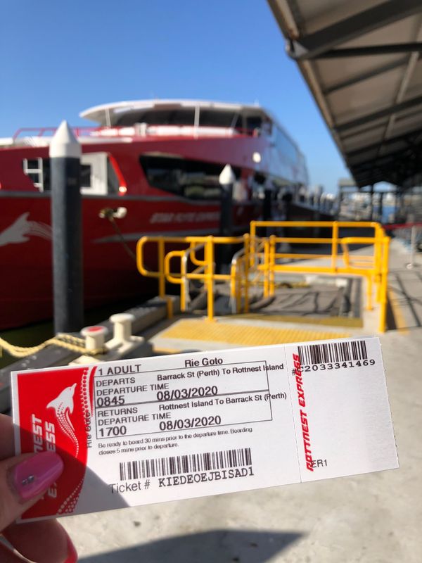 オーストラリア連邦・パース「西オーストラリア　パースひとり旅」の写真：ロットネスト島。
のんびりサイクリング、...