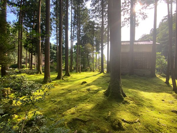 日本「石川周遊　能登半島から加賀へ」の写真