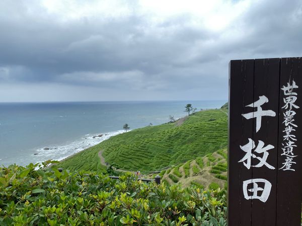 日本「石川周遊　能登半島から加賀へ」の写真：千枚田　能登丼