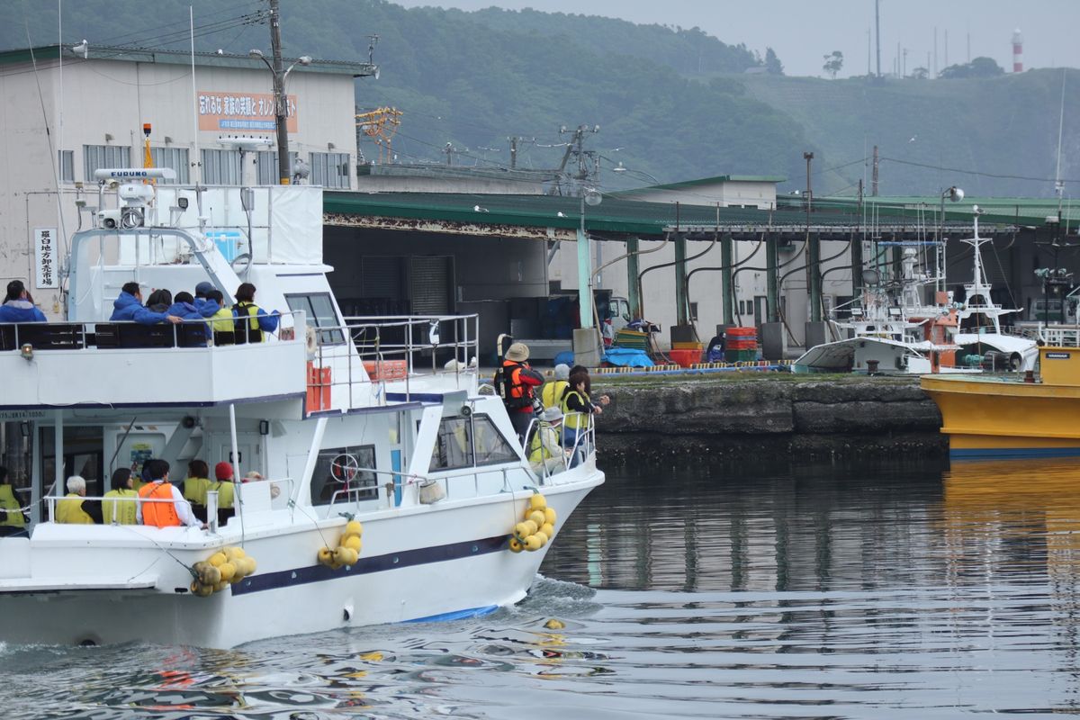 １〜４）世界遺産羅臼　シャチ！