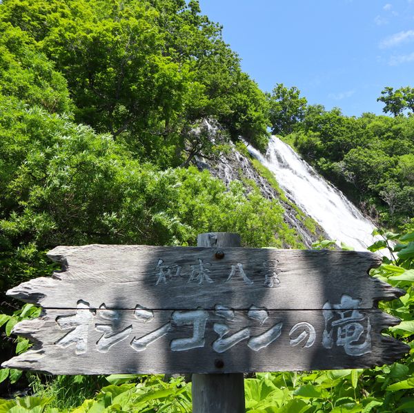 日本・知床「「知床・羅臼の旅」」の写真：１〜２）世界遺産オシンコシンの滝
３〜４...