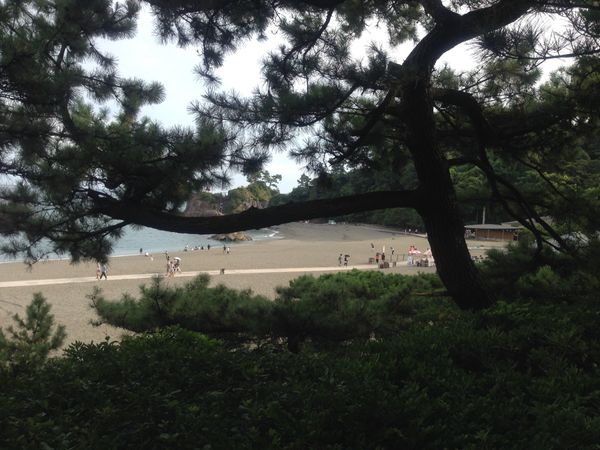 日本「高知」の写真：桂浜と龍馬像