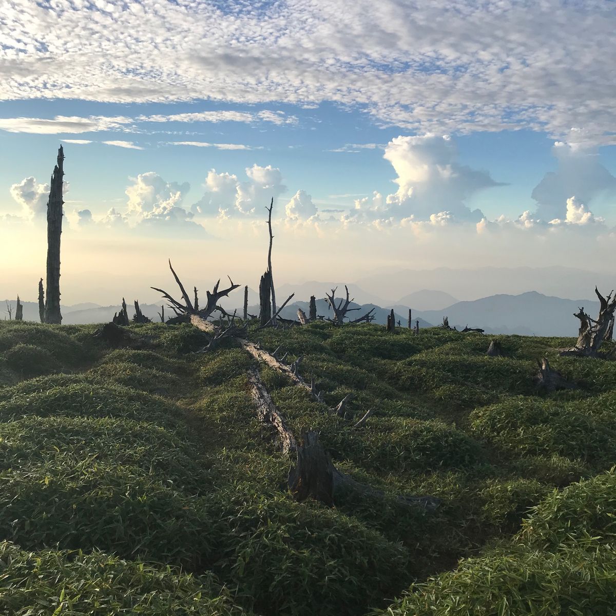 日出ケ岳
展望台
正木峠
大蛇ぐら