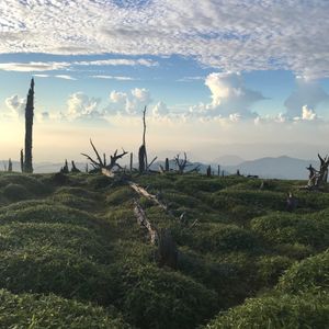 日出ケ岳
展望台
正木峠
大蛇ぐら