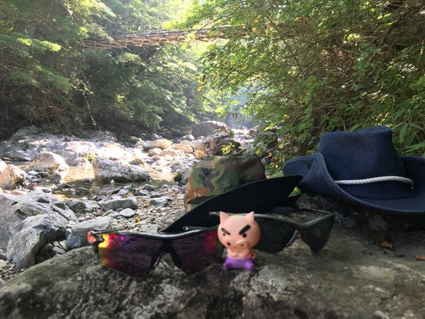 日本・奈良県大台ヶ原「夏山登山⛰大台ヶ原‼️」の写真：シオカラ谷