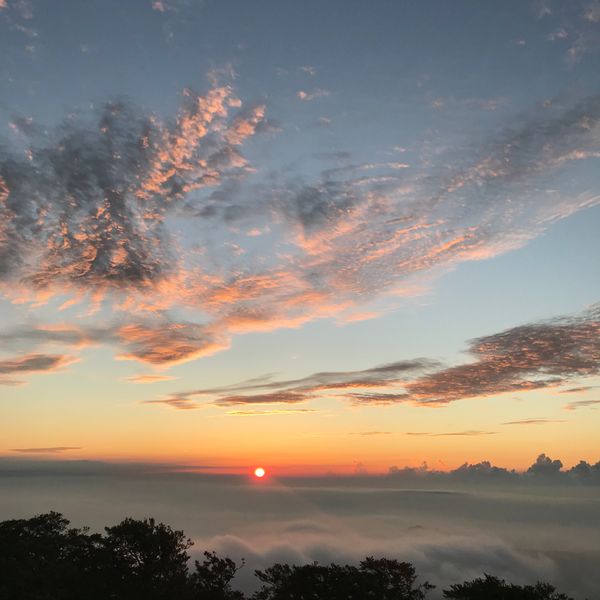 日本・奈良県大台ヶ原「夏山登山⛰大台ヶ原‼️」の写真：日出ケ岳
展望台
正木峠
大蛇ぐら