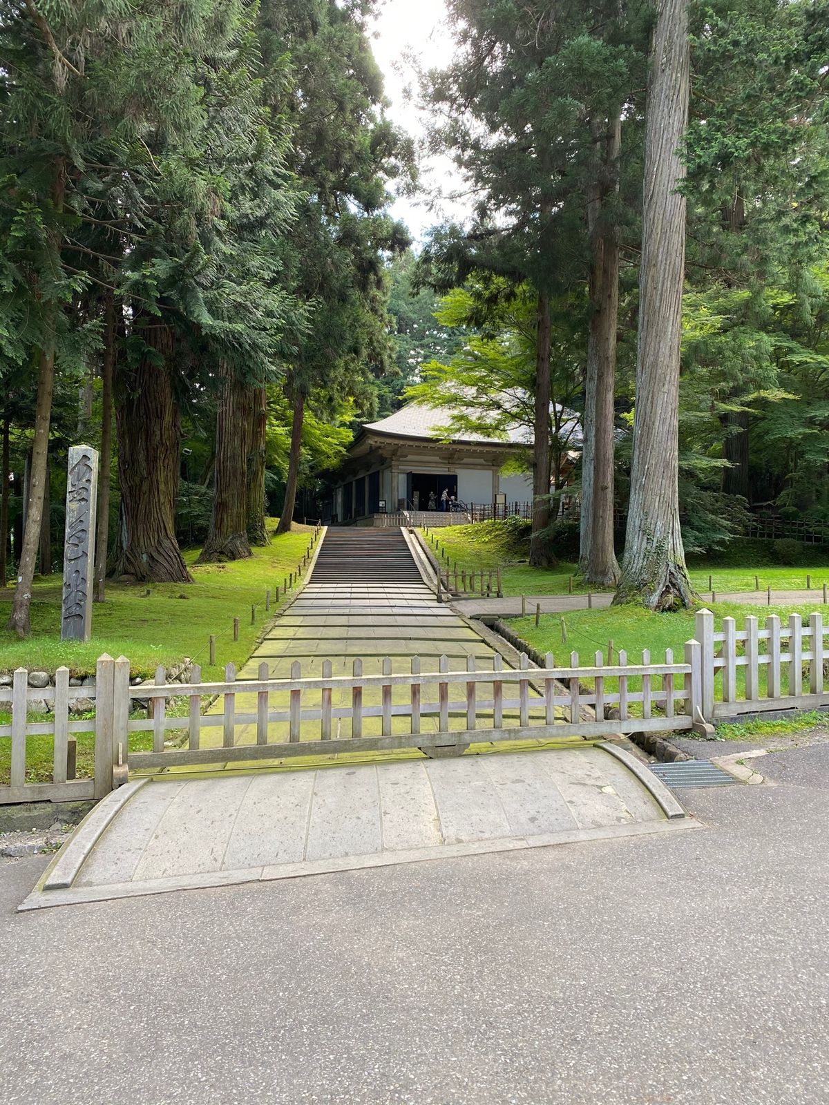 真夏日も、杉木立は涼やか！